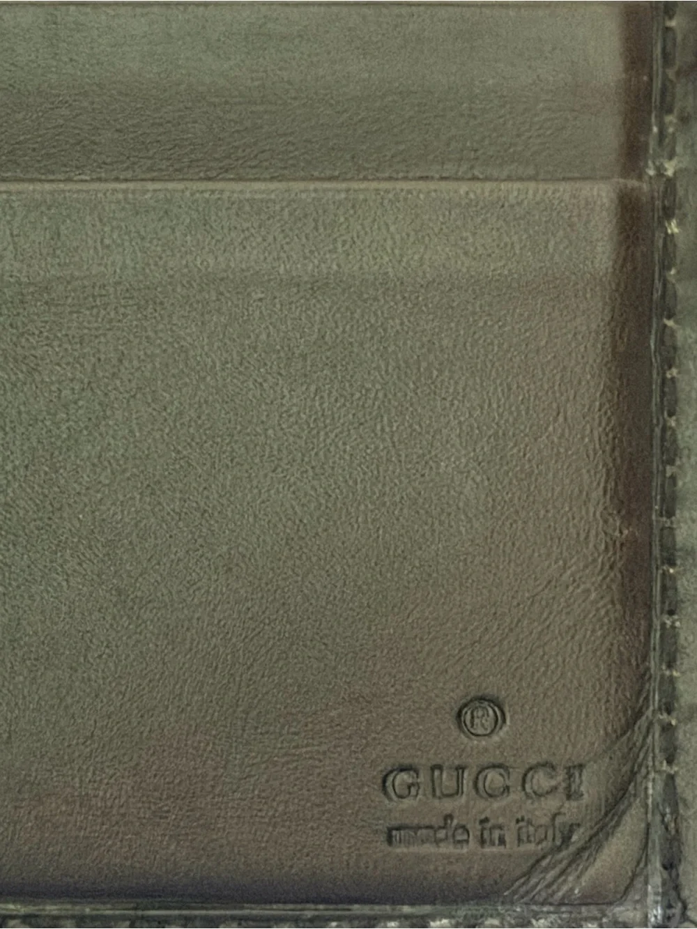 Gucci gg canvas